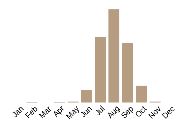 Bitter bolete (Tylopilus felleus) seasonality info