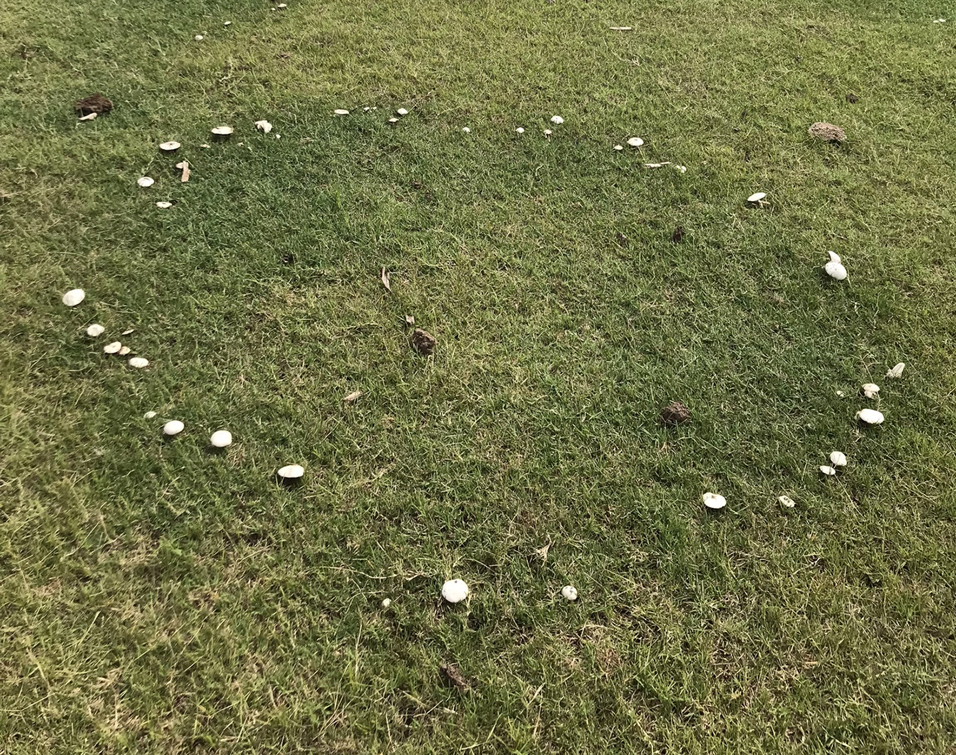 Growth Patterns identification