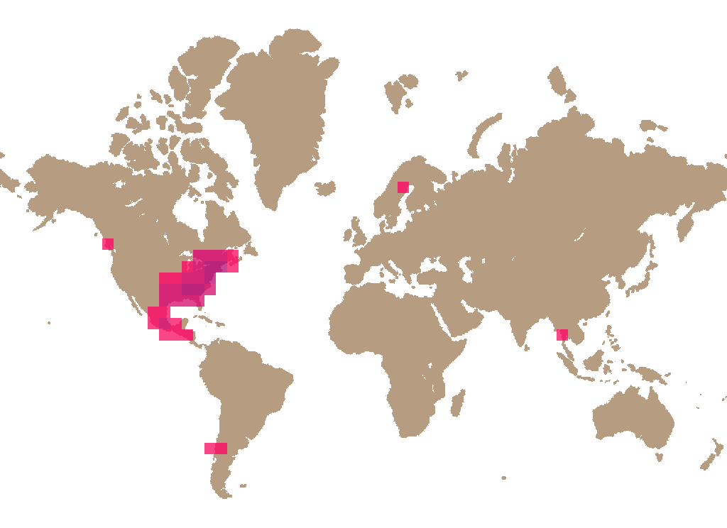 Jackson's amanita (Amanita jacksonii) distribution info