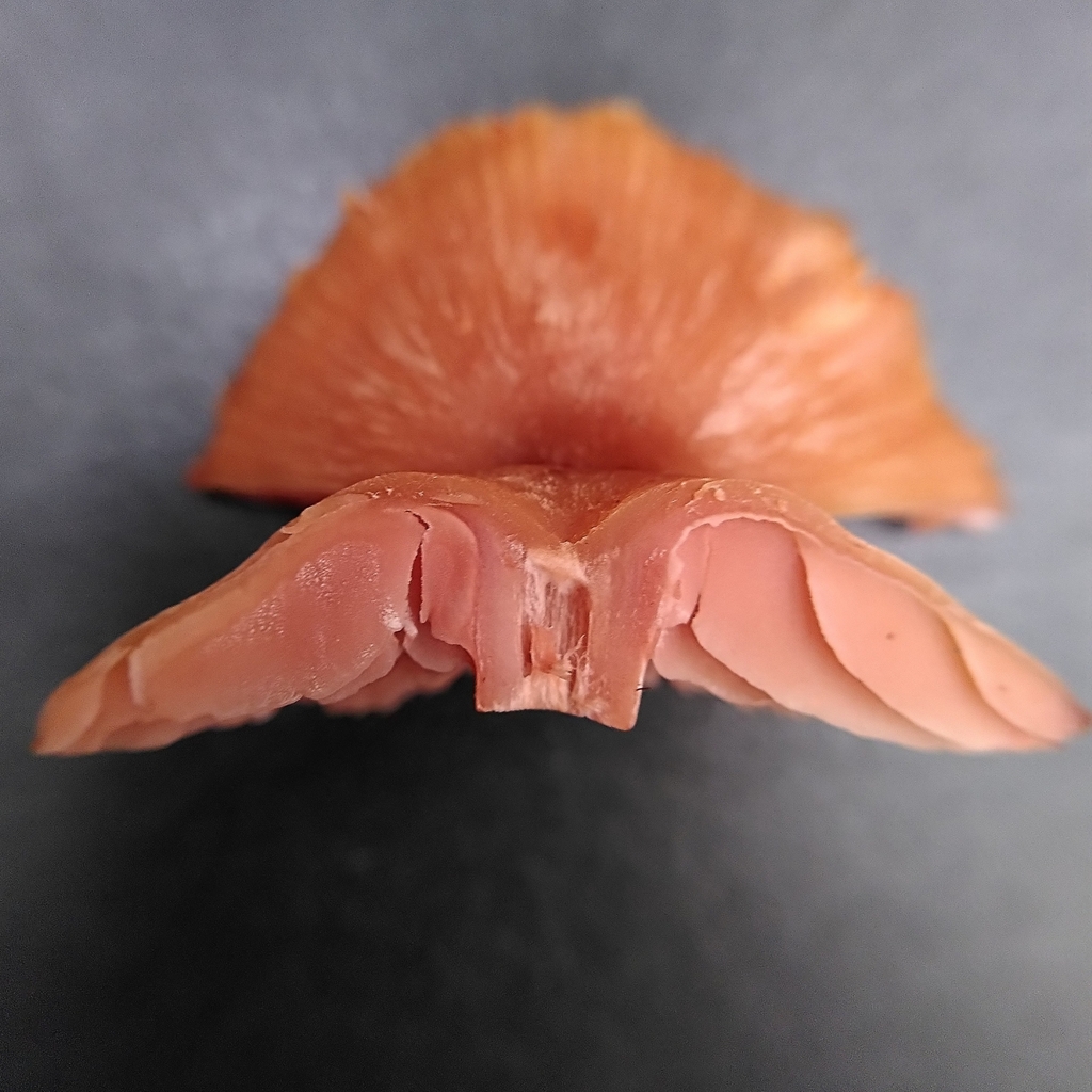Flesh identification