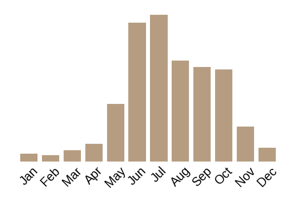 The prince (Agaricus augustus) seasonality info