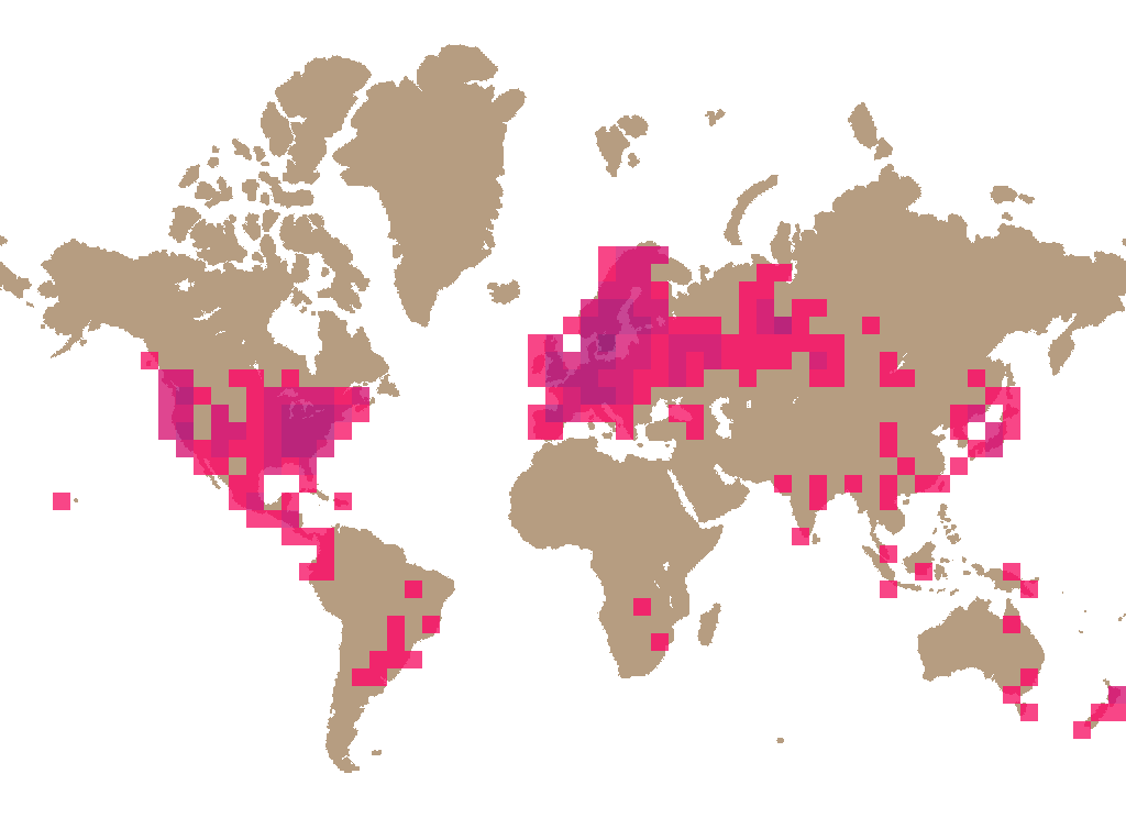 Lung oyster (Pleurotus pulmonarius) distribution info