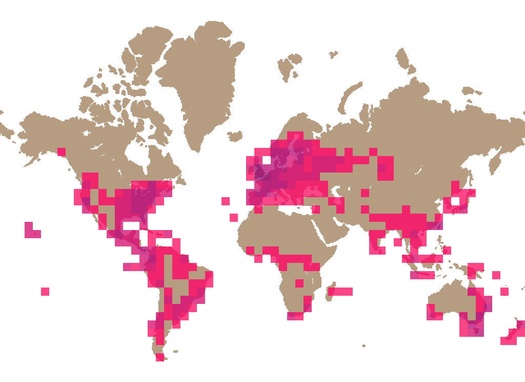 Fairy inkcap (Coprinellus disseminatus) distribution info