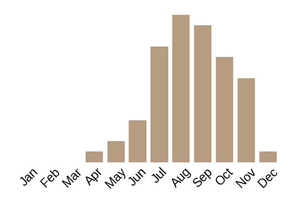 Ivory funnel (Collybia dealbata) seasonality info