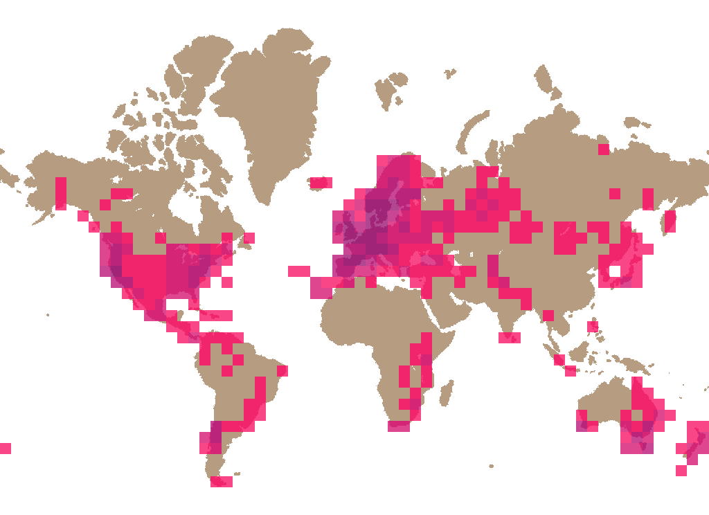 False turkey-tail (Stereum hirsutum) distribution info