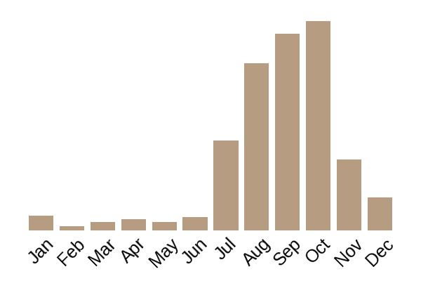 King bolete (Boletus edulis) seasonality info