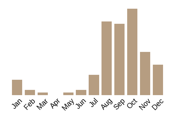 Sweet tooth (Hydnum repandum) seasonality info