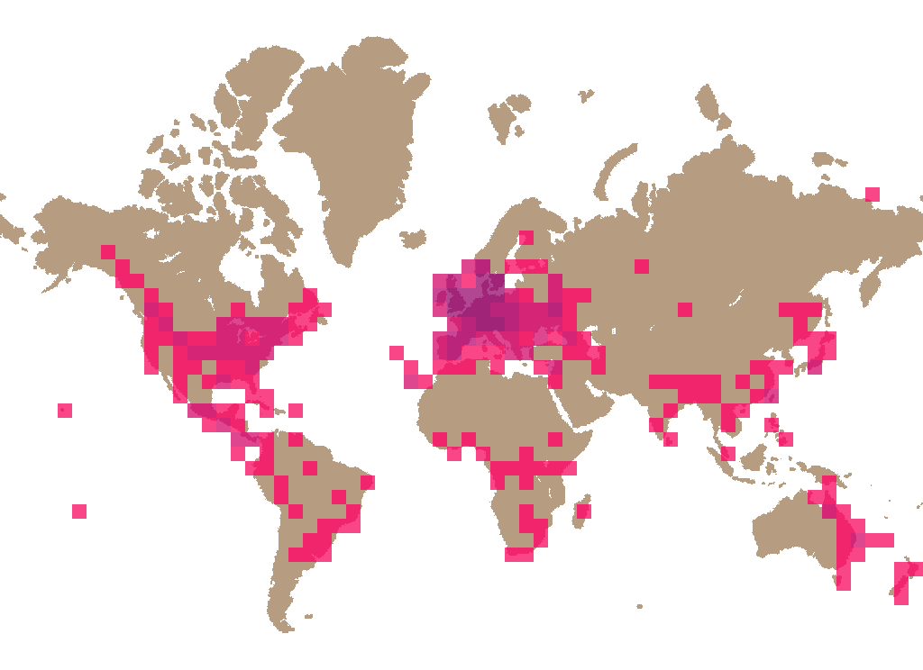 Jelly ear (Auricularia auricula-judae) distribution info