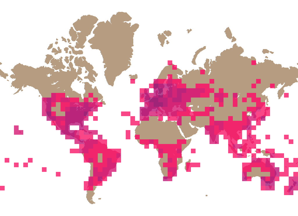 Schizophyllum commune distribution info