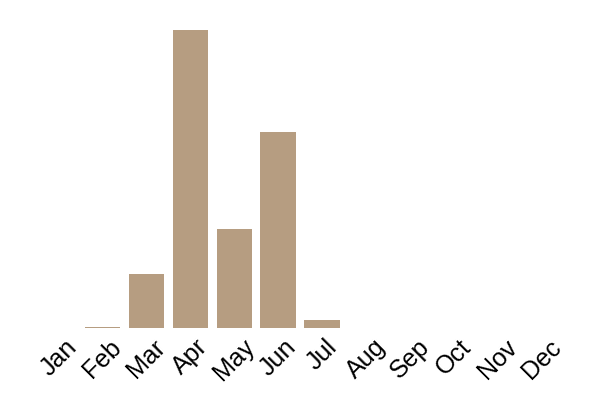 Common morel (Morchella esculenta) seasonality info