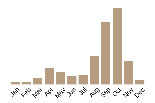 Slippery jack (Suillus luteus) seasonality info
