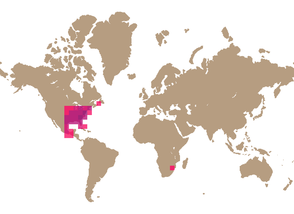 Ringless honey mushroom (Desarmillaria caespitosa) distribution info