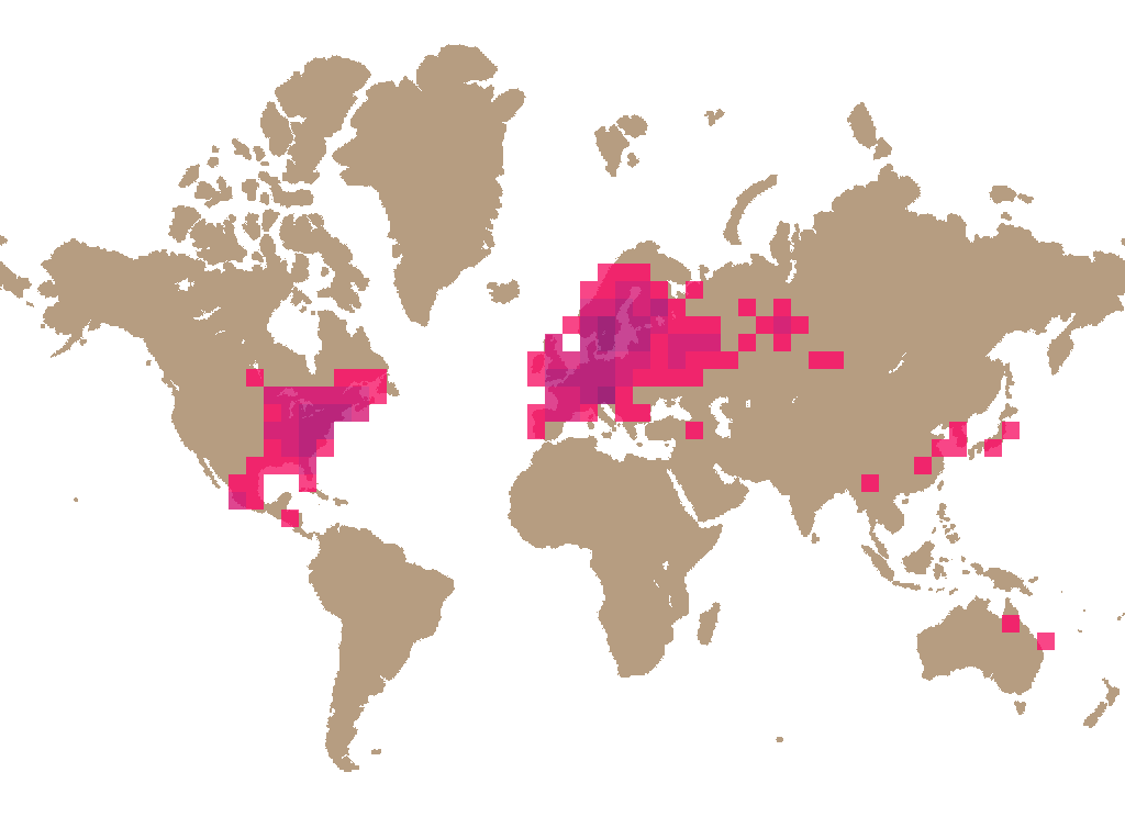 Bitter bolete (Tylopilus felleus) distribution info