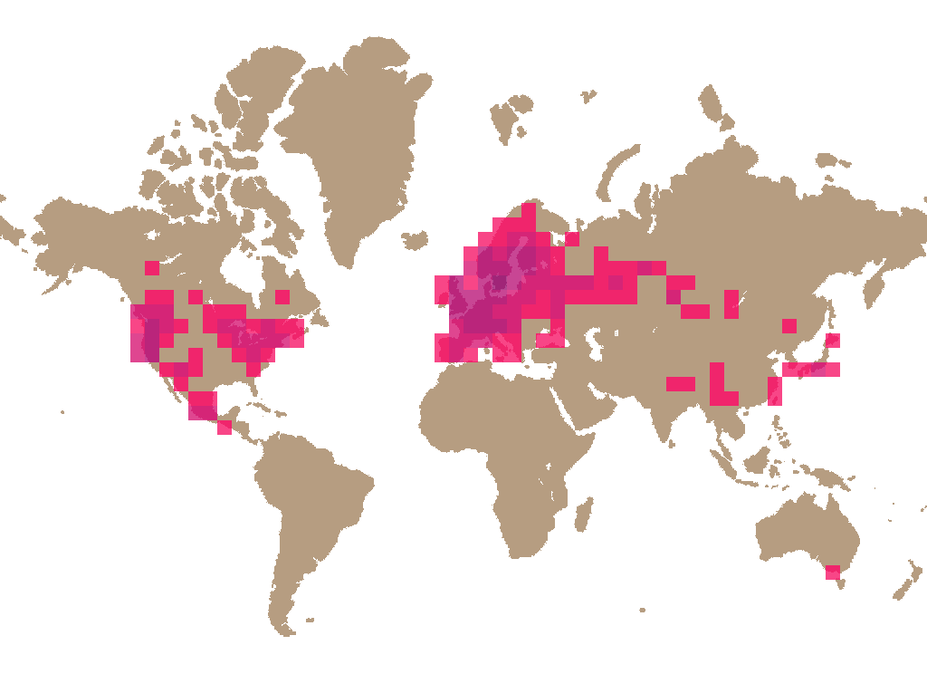Earpick fungus (Auriscalpium vulgare) distribution info