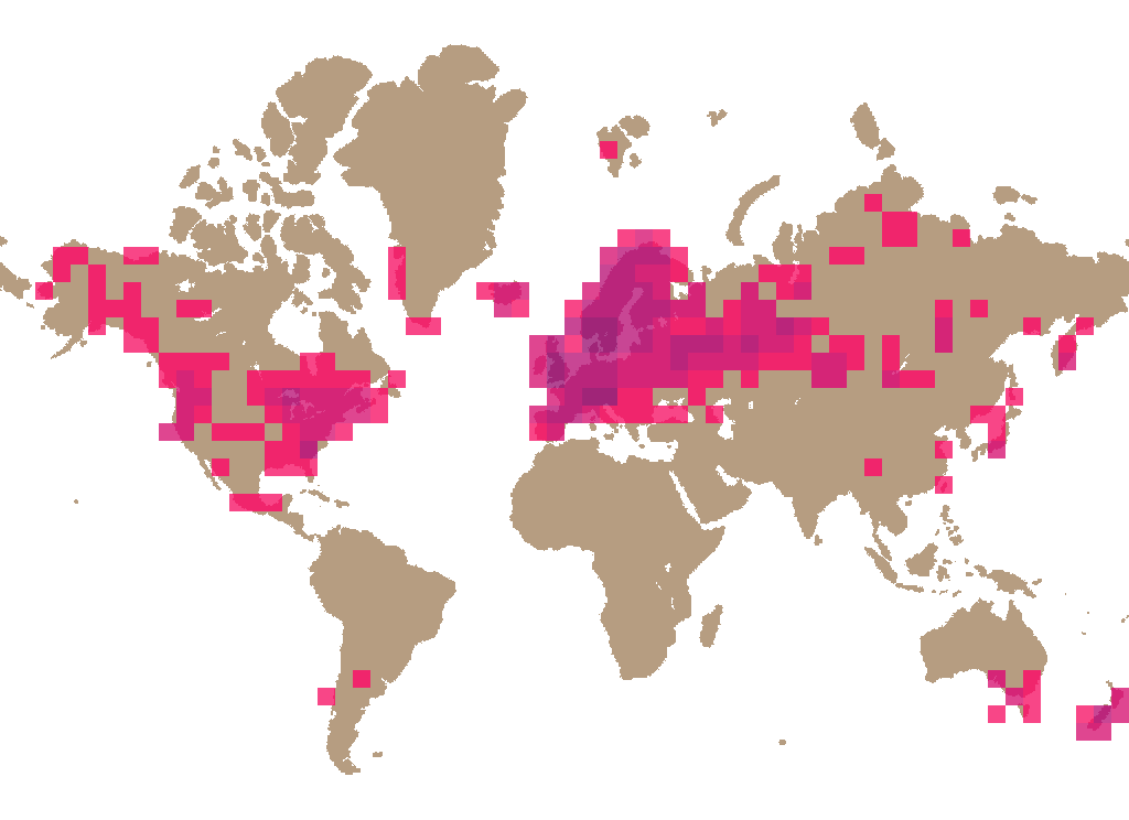Brown birch bolete (Leccinum scabrum) distribution info