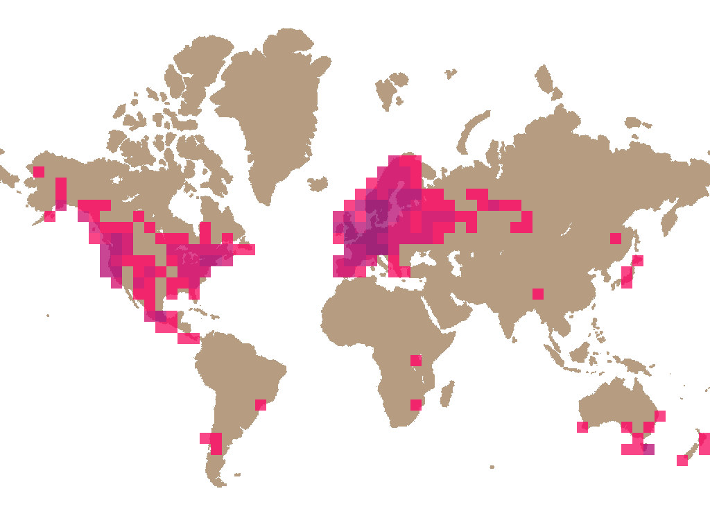False chanterelle (Hygrophoropsis aurantiaca) distribution info