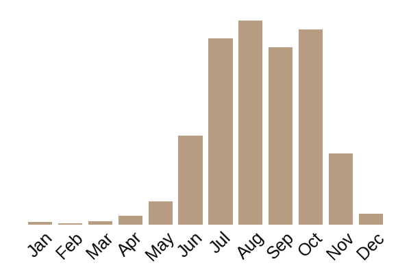 Blusher (Amanita rubescens) seasonality info