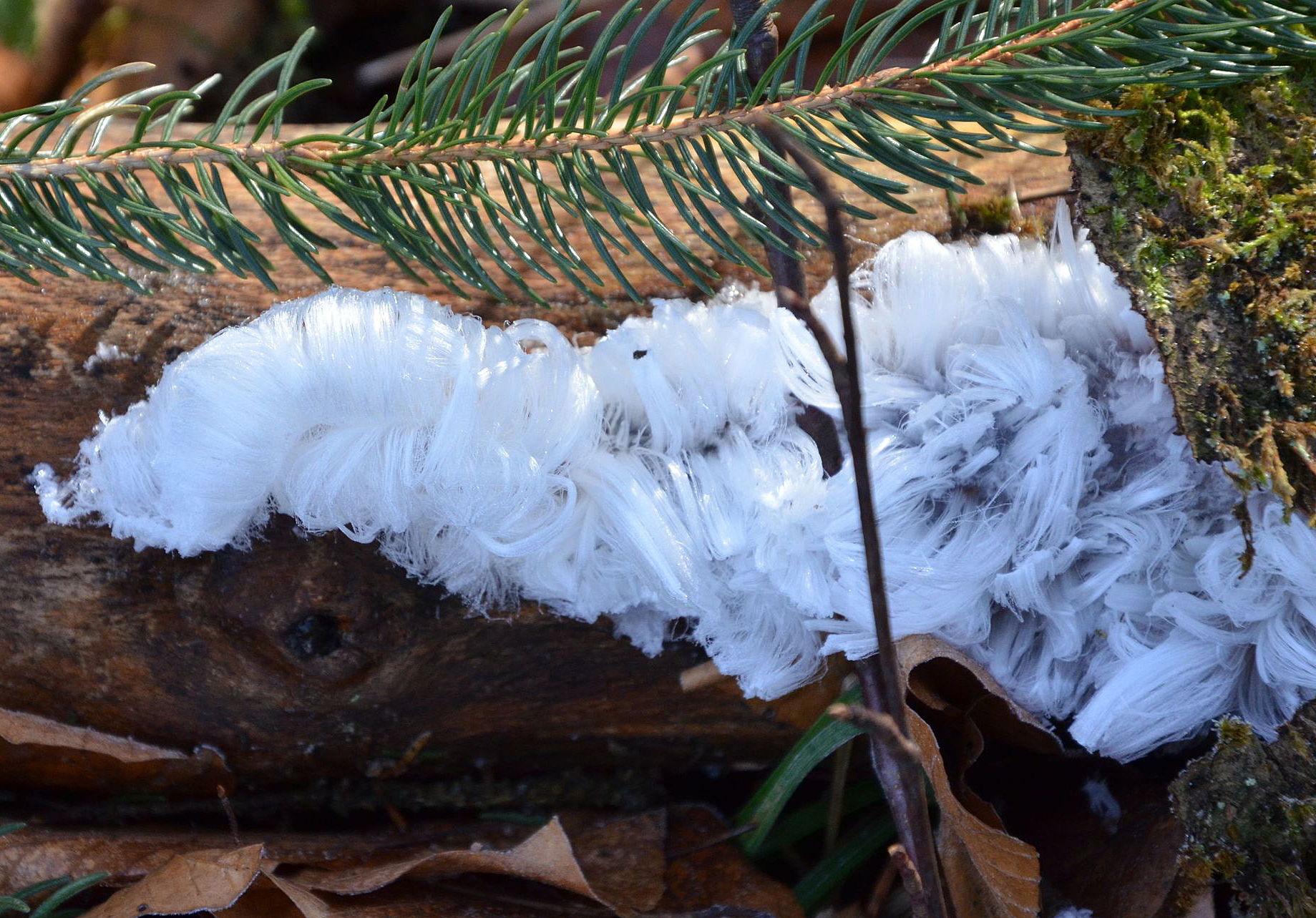 Hair ice