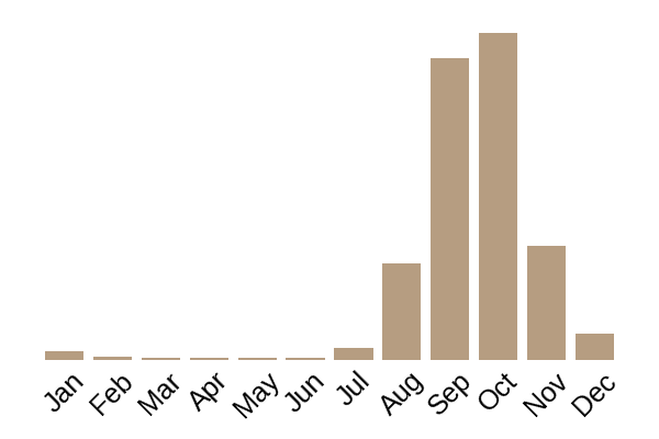 Cauliflower fungus (Sparassis crispa) seasonality info