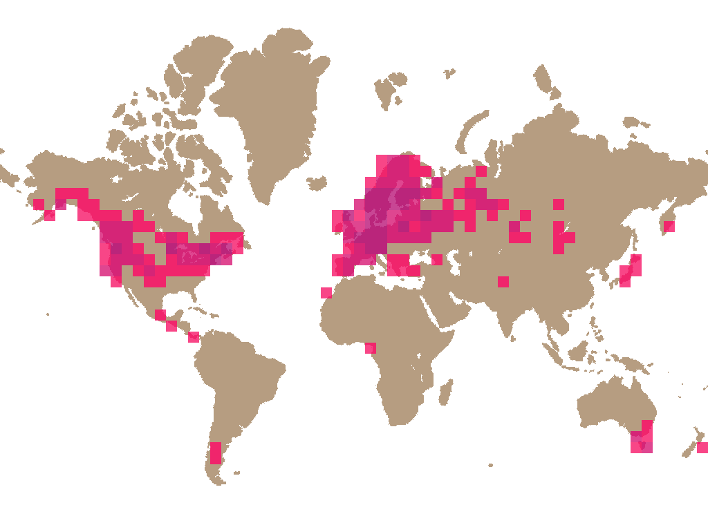 False morel (Gyromitra esculenta) distribution info