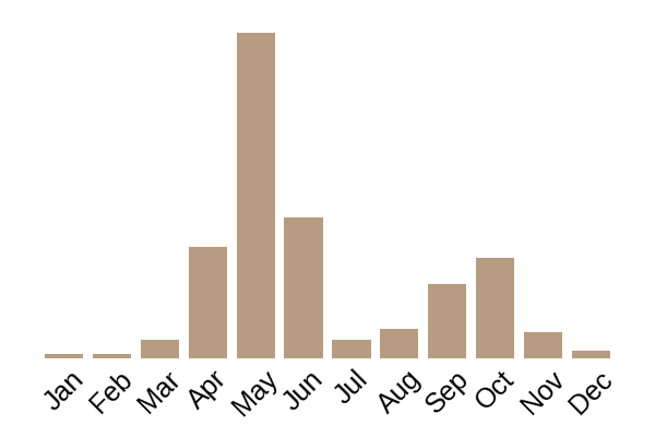 Wine-red stropharia (Stropharia rugosoannulata) seasonality info