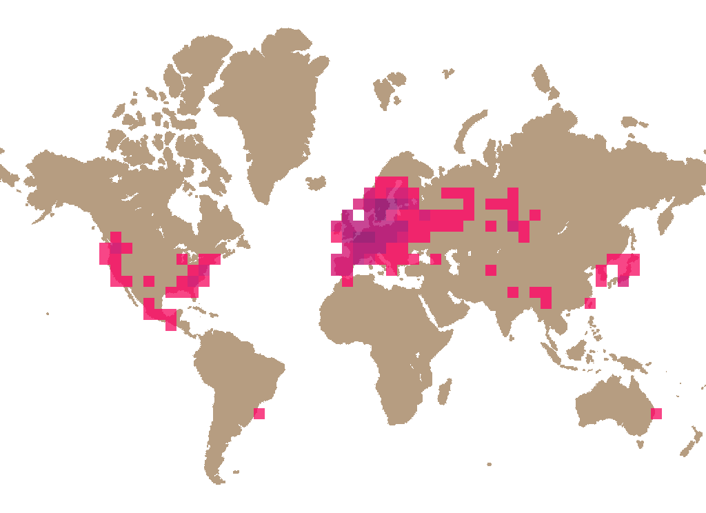 Cauliflower fungus (Sparassis crispa) distribution info