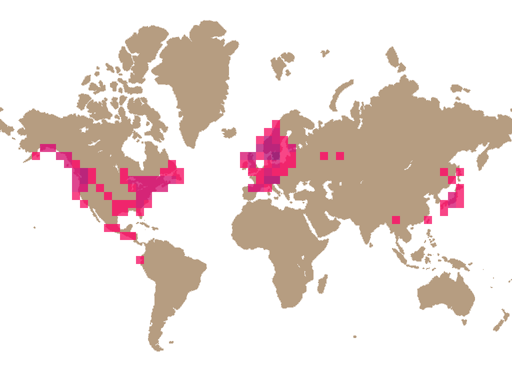 Angel's wings (Pleurocybella porrigens) distribution info