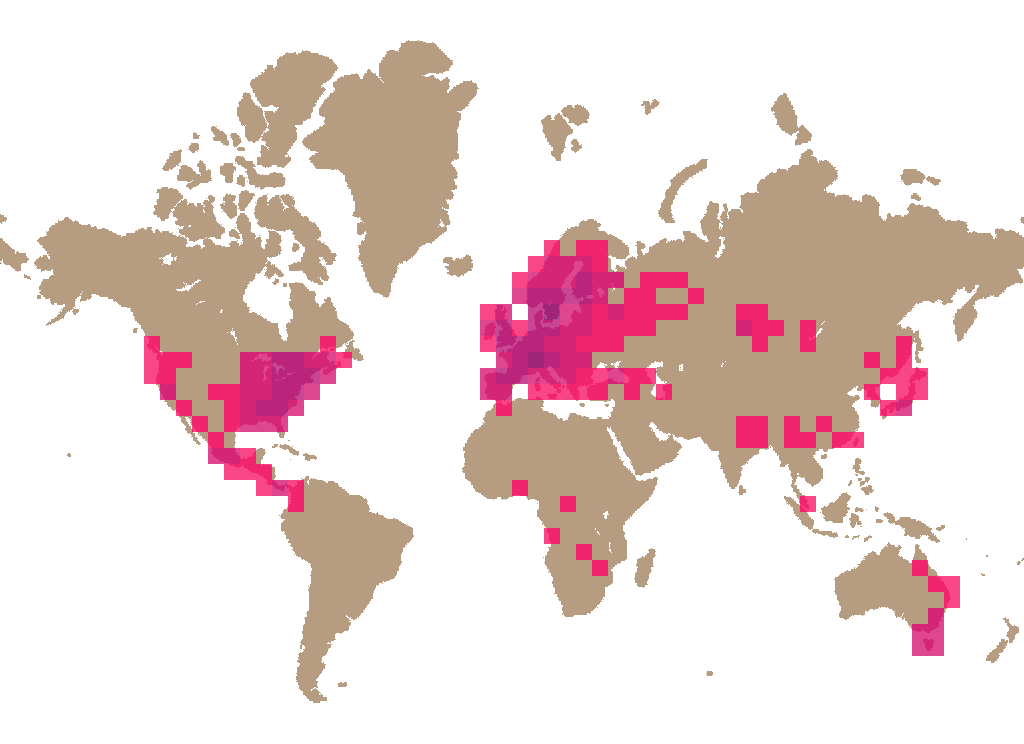Horn of plenty (Craterellus cornucopioides) distribution info