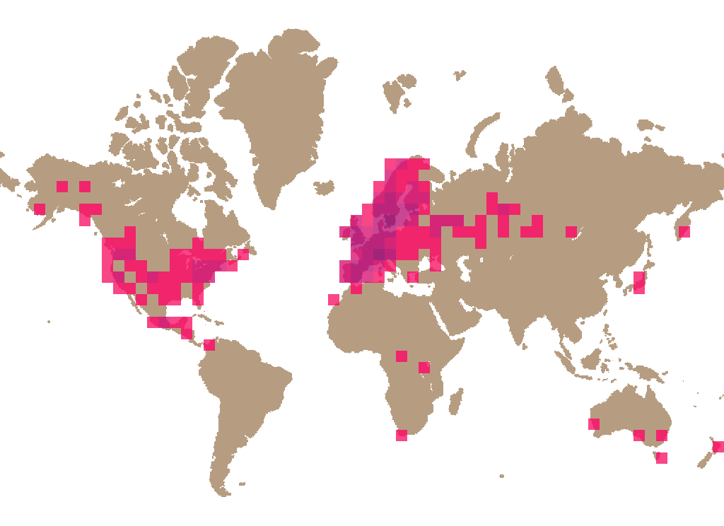 Wood mushroom (Agaricus sylvicola) distribution info