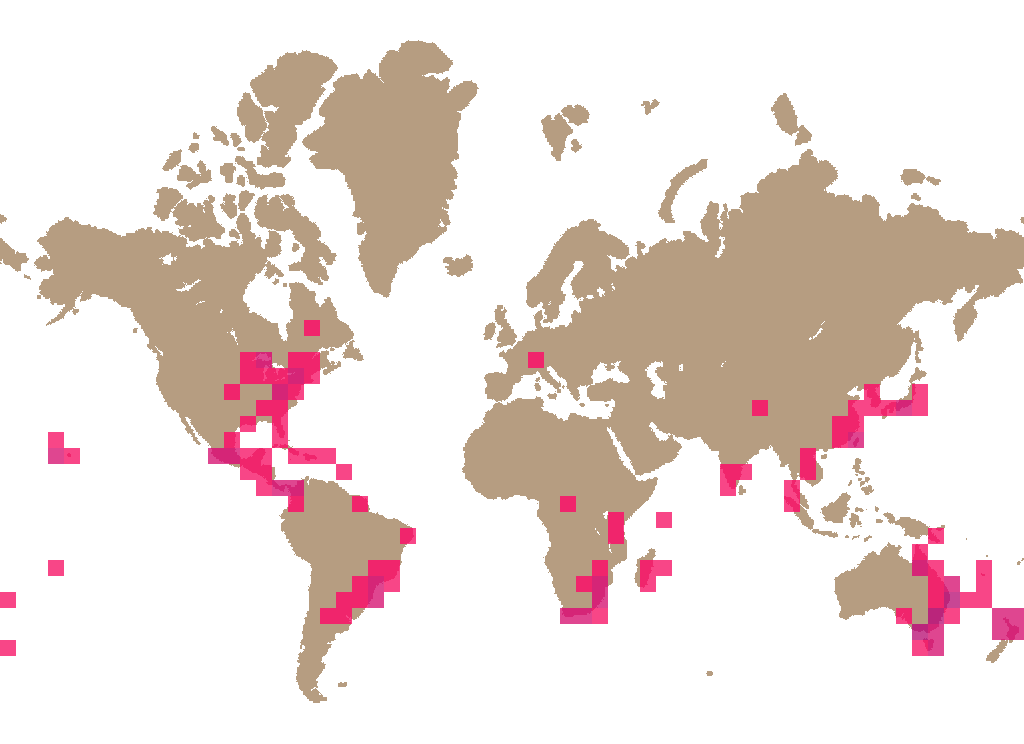 Scruffy scalycap (Cyptotrama asprata) distribution info