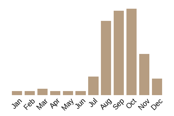 Horn of plenty (Craterellus cornucopioides) seasonality info