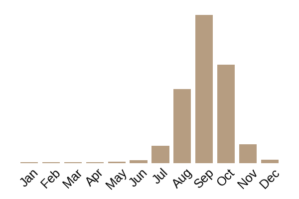 Beefsteak fungus (Fistulina hepatica) seasonality info