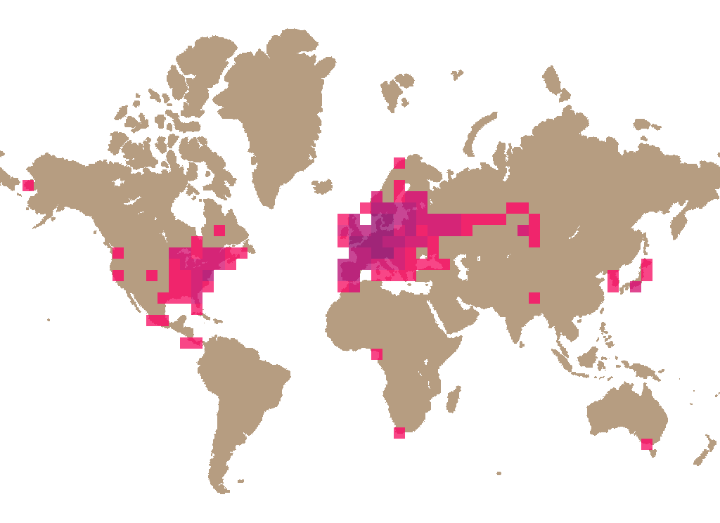 False death cap (Amanita citrina) distribution info