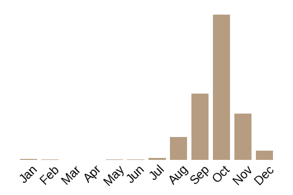 False death cap (Amanita citrina) seasonality info
