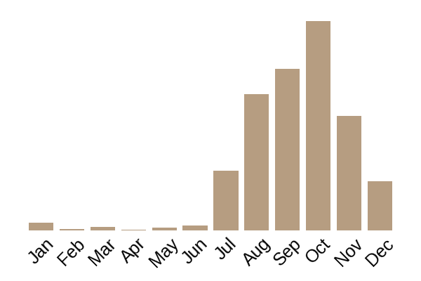 The miller (Clitopilus prunulus) seasonality info