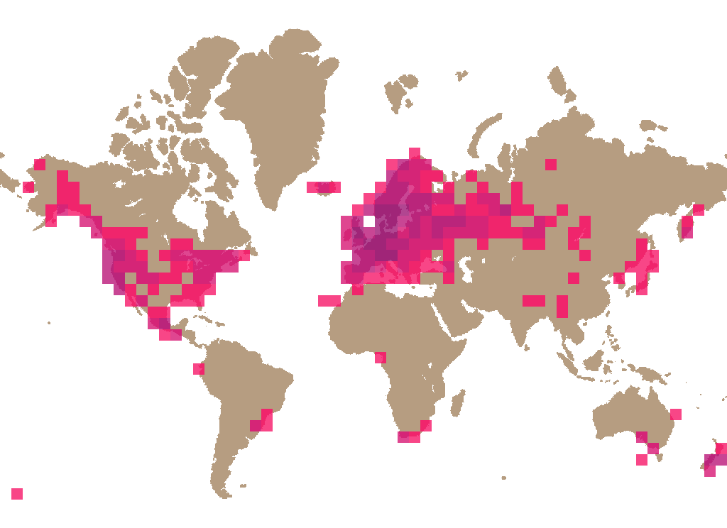 King bolete (Boletus edulis) distribution info